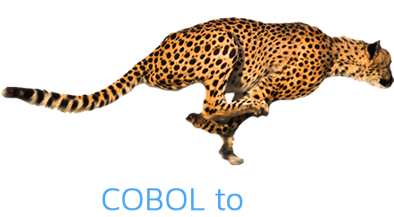 Struggling to Find New COBOL Programmers?